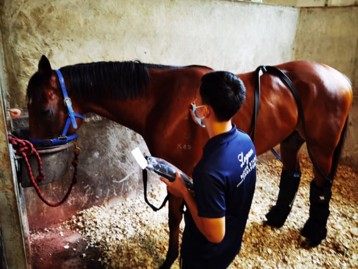 recovery-systems-sport-equine-1